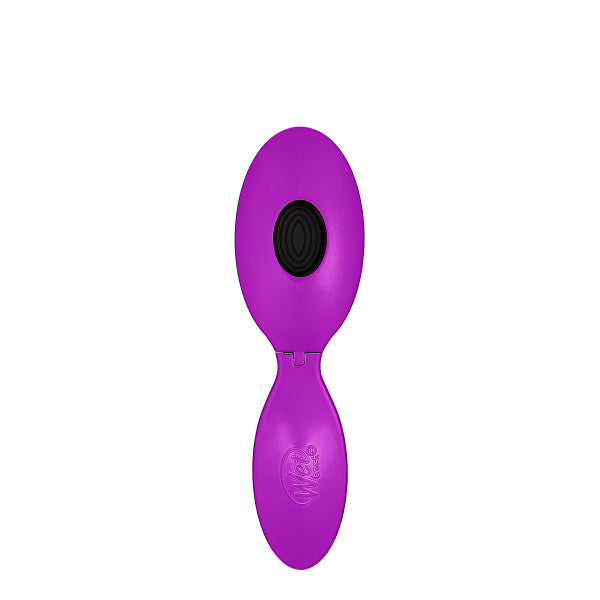 Wet Brush Pop and Go Detangler - Purple